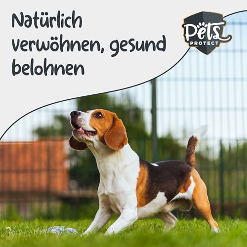 Pets Protect Bio-KOKOSHAPPEN 300 g | Natürliche Leckerlis für Hund & Pferd | Beste Bio-Qualität | Hunde-Snacks getreidefrei & ohne künstliche Zusätze | Leckerli vegan | Deutsche Herstellung