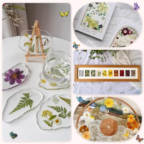Image of 303Pcs Dried Pressed Flowers for Crafts, Dried Pressed Flowers for Resin, Natural Dried Flowers Kit with 80pcs Butterfly Stickers for DIY Resin Molds, Candles, Photo Frames, Jewelry Making, Art Crafts
