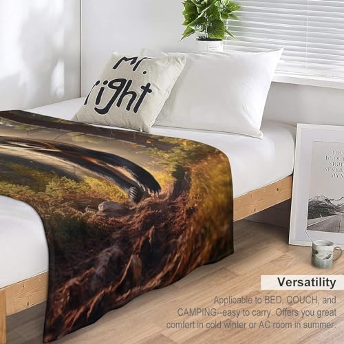 Couverture en flannel douce de qualité supérieure lit et canapé 130x180