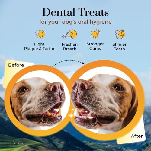 Image of Dogsee Chew Bars for Dogs - Small | 100% Natural Himalayan Yak Chews | Smoke Dried | Long Lasting | Helps Fight Plaque & Tartar | Promotes Healthy Immune System - 100g