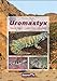 Produktbild Uromastyx: Natural History, Captive Care, Breeding