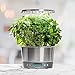 AeroGarden Harvest Elite 360 Indoor Garden Hydroponic System with LED Grow Light and Herb Kit, Holds up to 6 Pods, Stainless
