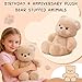 FPYWO Teddy Bear Stuffed Animal - 16 Inch Cute Teddy Bear Plush Toy Pillow for Kids & Adults, Huggable Stuffed Animal Valentines Day Gifts Plush Toys, 0.66 lbs