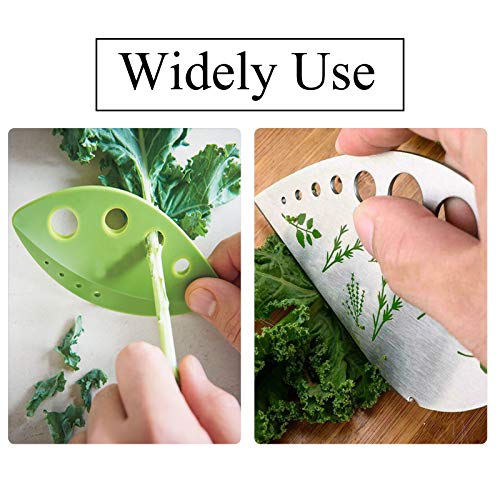 DAYREE 9 Holes Stainless Steel Leaf Herb Stripper with Blade and 3 PCS Plastic Herb Pealer for Chard, Mint, Thyme, Basil, Collard Greens, Rosemary - Thumbnail 6