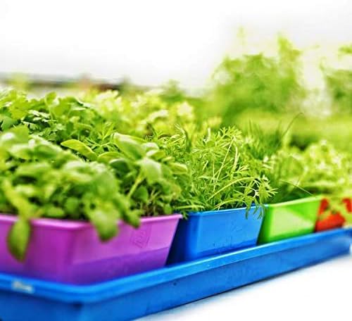 Miniatura 4 de Bootstrap Farmer Bandeja de semillas de 5 x 5, color verde, paquete de 40 unidades, insertos extra fuertes de 5 x 5 para cultivar microverdes,