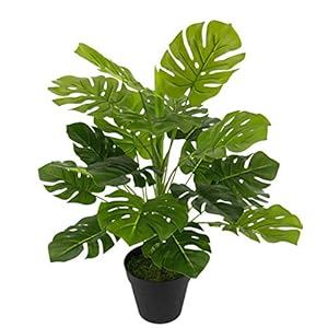 Kunstpflanze Splitphilo im Topf Künstliche Blattpflanze Splitphilo-Pflanze Monstera Seidenblumen Pflanzen Dekopflanze Grünpflanze Seidenpflanze Zimmerpflanze Kunstblume Deko Büropflanze 46x35x35cm