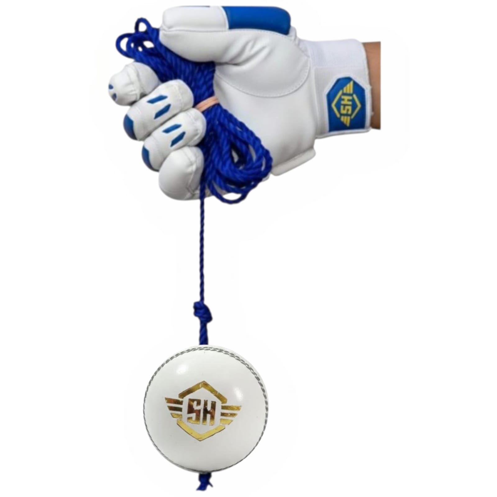 SNEHA HANDICRAFT White Hanging Cricket Leather Ball Practice & Knocking Set of 1-picture-29