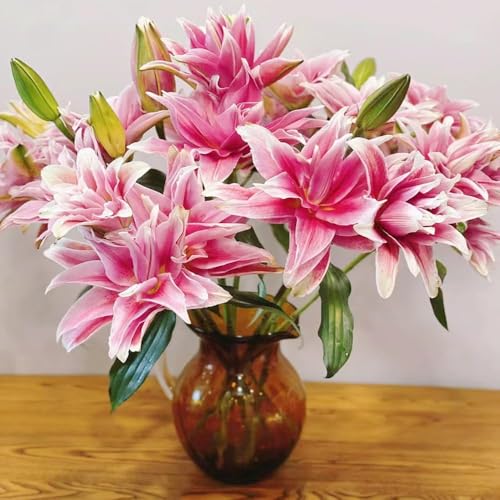 2 piezas bulbos de lirios de - balcón decoración lirio decoración del balcón prado bulbos tempranas,