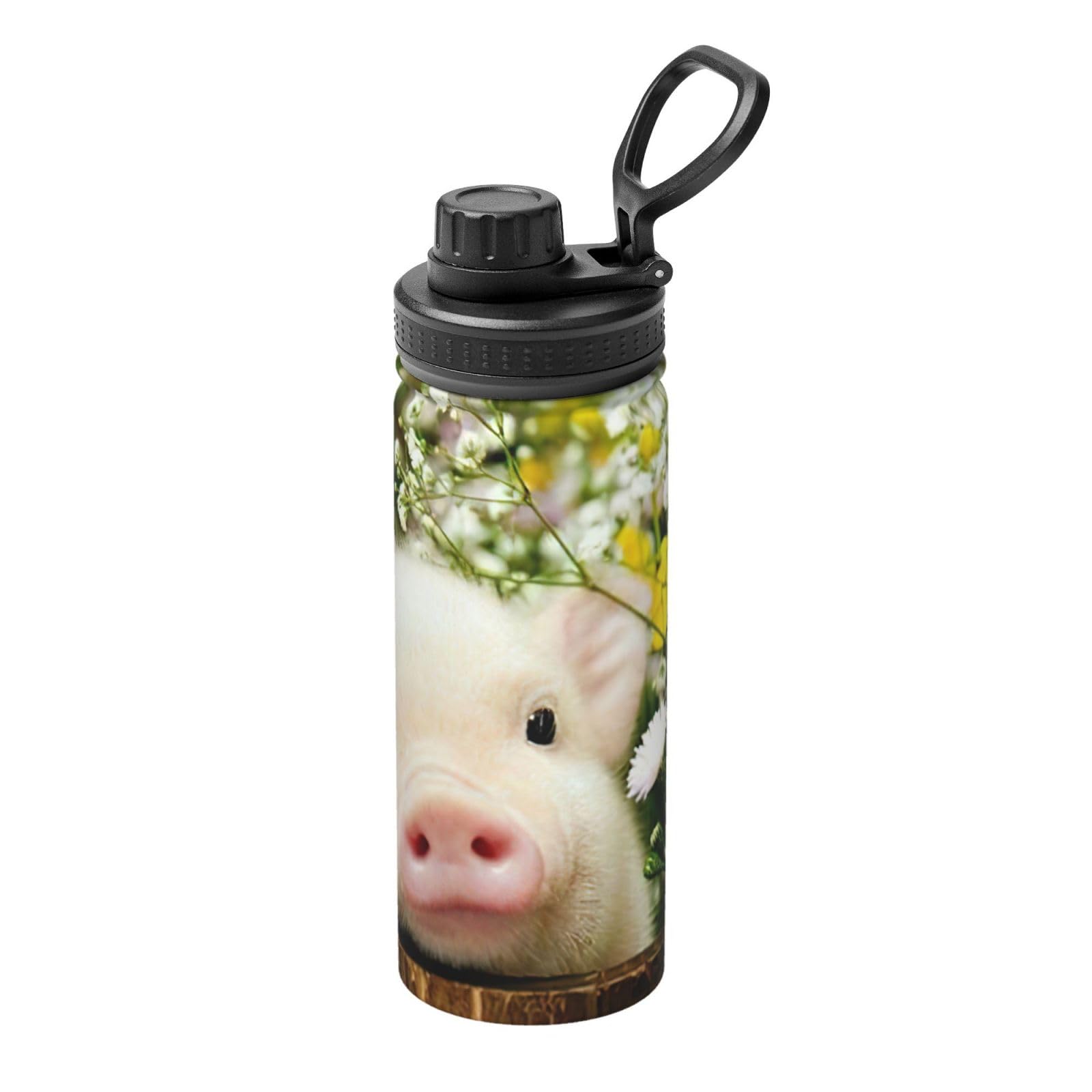 Gourde sport inox colza et cochon de qualité supérieure