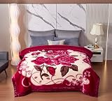 LGYKUMEG Coperta pesante in visone coreano da 4,1 kg, 200 x 230 cm, coperta invernale in pile spesso 4 kg, coperta in pile a 2 strati, reversibile, morbida e calda, 200 x 230 cm