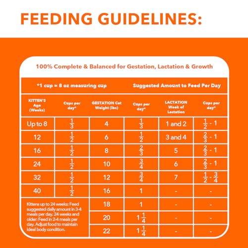 IAMS Proactive Health Healthy Kitten Dry Cat Food with Chicken, 7 lb. Bag