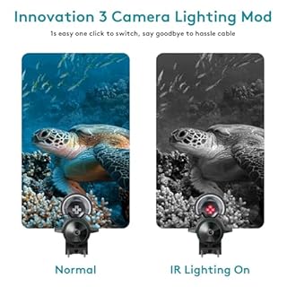 fourq HD Underwater Fishing Camera - IP68 Waterproof for Saltwater Fishing & Aquaculture Survey (Fish/Crab), 4.3 Screen w/5000mAh & 100ft Cable | 4 IR Lights for Boat Lake Kayak Ice Fishing