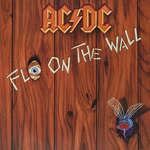 Fly On The Wall
