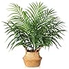 MOSADE Artificial Palm Tree 28Inch Fake Potted Areca Palm Plant with Handmade Seagrass Basket Perfect Faux Tree Home Decor for Indoor Outdoor Office Porch Balcony Bedroom Bathroom Gift