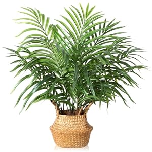 MOSADE Artificial Palm Tree 28Inch Fake Potted Areca Palm Plant with Handmade Seagrass Basket, Perfect Faux Tree Home Décor for Indoor Outdoor Office Porch Balcony Bedroom Bathroom Gift MOSADE Artificial Palm Tree 28Inch Fake Potted Areca Palm Plant with Handmade Seagrass Basket Perfect Faux Tree Home Decor for Indoor Outdoor Office Porch Balcony Bedroom Bathroom Gift