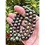 Dragons Blood Jasper