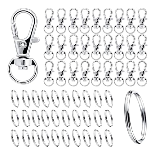 DAGORD Key Ring Set, 200pcs/Box, Zinc Alloy Key Rings with Carabiner Hooks, Silver, for Crafts, Lanyards, Pet Accessories, DIY Projects