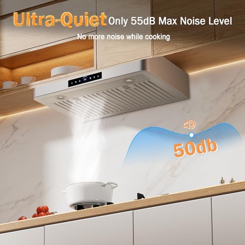 30 Inch Under Cabinet Range Hood 1200CFM, 4-Speed Kitchen Hood with Touch Control & Gesture Sensing Stainless Steel Kitchen Stove Vent Hoods with 2 LED Lights Standard Series