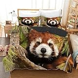 NUEYSP Bettwäsche 155x220 Roter Panda Bettwäsche-Sets 3D-Motiv...