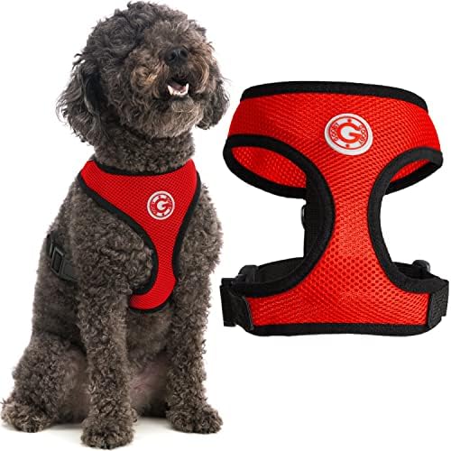 What Is The Best Small Dog Harness