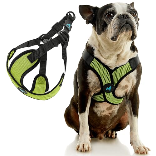 Mesh Dog Harness The 15 best products compared Wild Explained