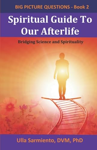 Spiritual Guide To Our Afterlife (Big Picture Questions)