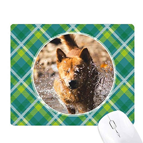 {̌̂킢̎ʐ^ ΂̊iq̃sNZS̃}EXpbh