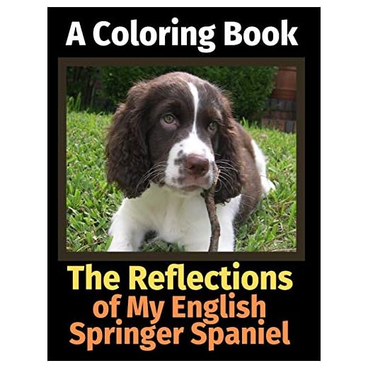 The Reflections of My English Springer Spaniel: A Coloring Book