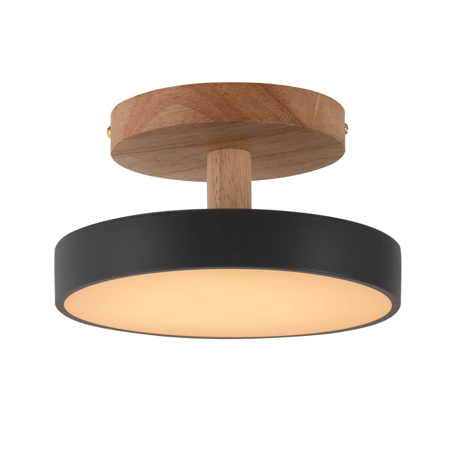 Ceiling Light LED Flush Mount Round Modern Ceiling Lighting Fixture