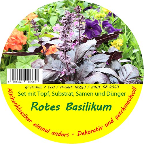 Saflax 18223 Rotes Basilikum (Basilikumsamen)