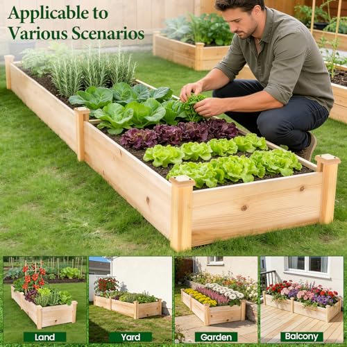 Image of MIXC 8x2ft Wooden Horticulture Raised Garden Bed Outdoor Divisible Elevated Planting Planter Box for Vegetables, Herbs, Strawberry, Flowers in Backyard and Patio, Natural Wood