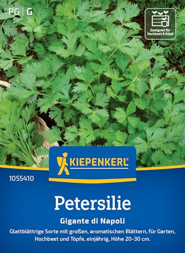 Kiepenkerl Petersiliensamen Gigante di Napoli 1055410 - Glattblättrige Sorte mit großen aromatischen Blättern - Pflanzen Samen, Saatgut, Kräutersamen