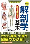 運動・からだ図解 解剖学の基本 | 松村 讓兒 |本 | 通販 | Amazon