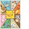 Buffalo Games Pokemon - Kanto Companions - 300 Piece Jigsaw Puzzle - Large Pieces, 21.25 x 15 in, Ages 14+ Full-Color Pokemon Poster - Jigsaw Puzzle 300 Count
