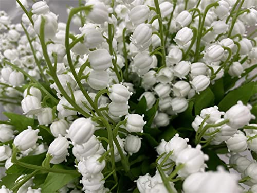 Lebritamfa Artificial Lily Of The Valley Flowers Arrangement Bundle For Wedding Bouquet Home Decor Garden Decoration White Wedding Artificial Flowers (White, 6) #TOP1