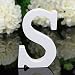 Totoo Decorative Wood Letters, Hanging Wall 26 Letters Wooden Alphabet Wall Letter for Children Baby Name Girls Bedroom Wedding Brithday Party Home Decor-Letters (S)
