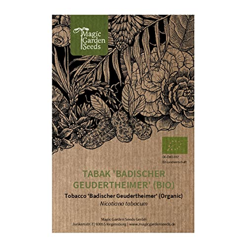 Tabaco 'Badischer Geudertheimer' (Nicotiana tabacum) orgánico - aprox. 600 semillas