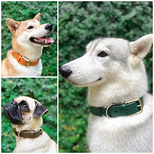 Tuff Pupper Classic Heavy Duty Dog Collar | 10X Stronger Than Leather | 100% Waterproof & Odor Proof Dog Collar | Tough Rust-Proof All Metal Hardware | Lifetime Replacement Guarantee #TOP2