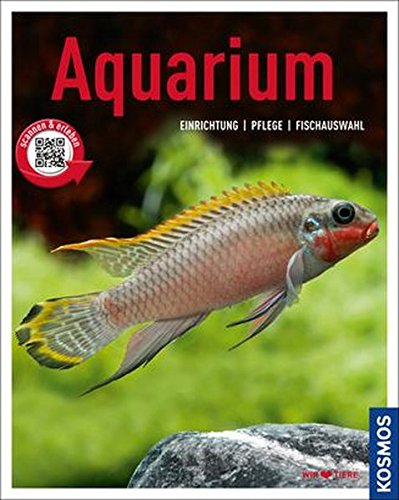 Aquarium: Einrichtung, Pflege, Fischauswahl (Mein Tier) Aquarium: Einrichtung, Pflege, Fischauswahl (Mein Tier)
