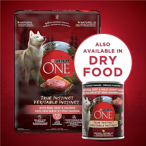 Purina ONE Classic Ground True Instinct Wet Dog Food, Beef & Salmon - 368 g Can (12 Pack) image 4