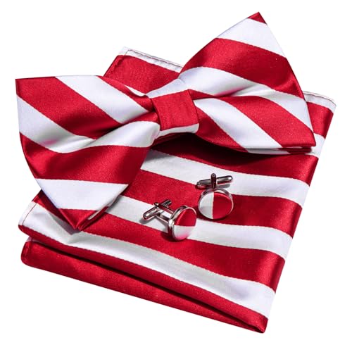 Image of Barry.Wang Paisley Striped Bow Tie for Men Silk Pre-Tied Bowtie Set