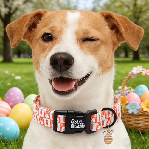 Image of Dog Collars, Easter Orange Carrot Rabbit Print Pet Collar Holiday Cute Durable Adjustable Pendant Gift Collar with Quick Release Plastic Buckle for Large Dogs