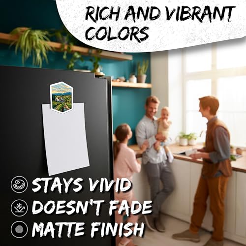 Imán decorativo vinilo 4 pulgadas pack 2 miniatura 4