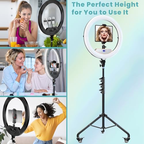 MACTREM 22" Foldable Ring Light with Stand for iPhone ipad, 75" Tripod with Wheels 50W 6500K LED Display/2 USB Ports Large Ringlight Rolling, Tattoo Barber Makeup Studio Video Photography Lighting