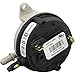Pentair 42001-0061S Electrical System Air Flow Switch Replacement Pool and Spa Heater