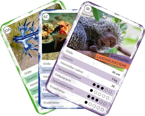 Das verrückte Quartett: Tier-Quartett und Trumpf-Kartenspiel | Spielspaß für Kinder ab 8 Jahren