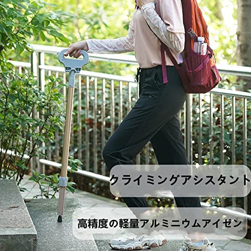 Amazon.co.jp: 登山杖 折りたたみ杖 ステッキチェア 超軽量 アルミ製