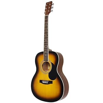 【美品】すぐ弾ける！HONEY BEE アコースティックギター F-15N fw15zoomts.jpg