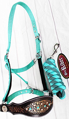 ProRider Horse Noseband Tack Bronc Leather Halter Tiedown Lead Rope 28080209