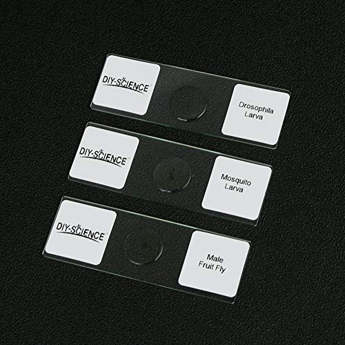 Image of Prepared Whole Insects Microscope Slides Set, 10pcs Specimens for Kids Students Biology Class, Educational Gift (Whole Insects)